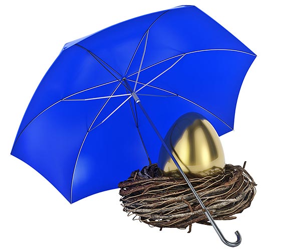 Image of an umbrella covering a nest with a golden egg